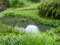 Trebah Garden  &ndash; &copy; Claudia Bernhardt (Eberhardt TRAVEL)
