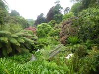Trebah Garden  &ndash; &copy; Claudia Bernhardt (Eberhardt TRAVEL)