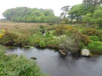 Postbridge &ndash; &copy; Claudia Bernhardt (Eberhardt TRAVEL)