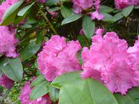 Oban &ndash; &copy; Grit Wendelberger (Eberhardt TRAVEL)