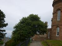 Inverness &ndash; &copy; Grit Wendelberger (Eberhardt TRAVEL)