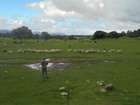 Kincraig Schaffarm &ndash; &copy; Michael Krause (Eberhardt TRAVEL)