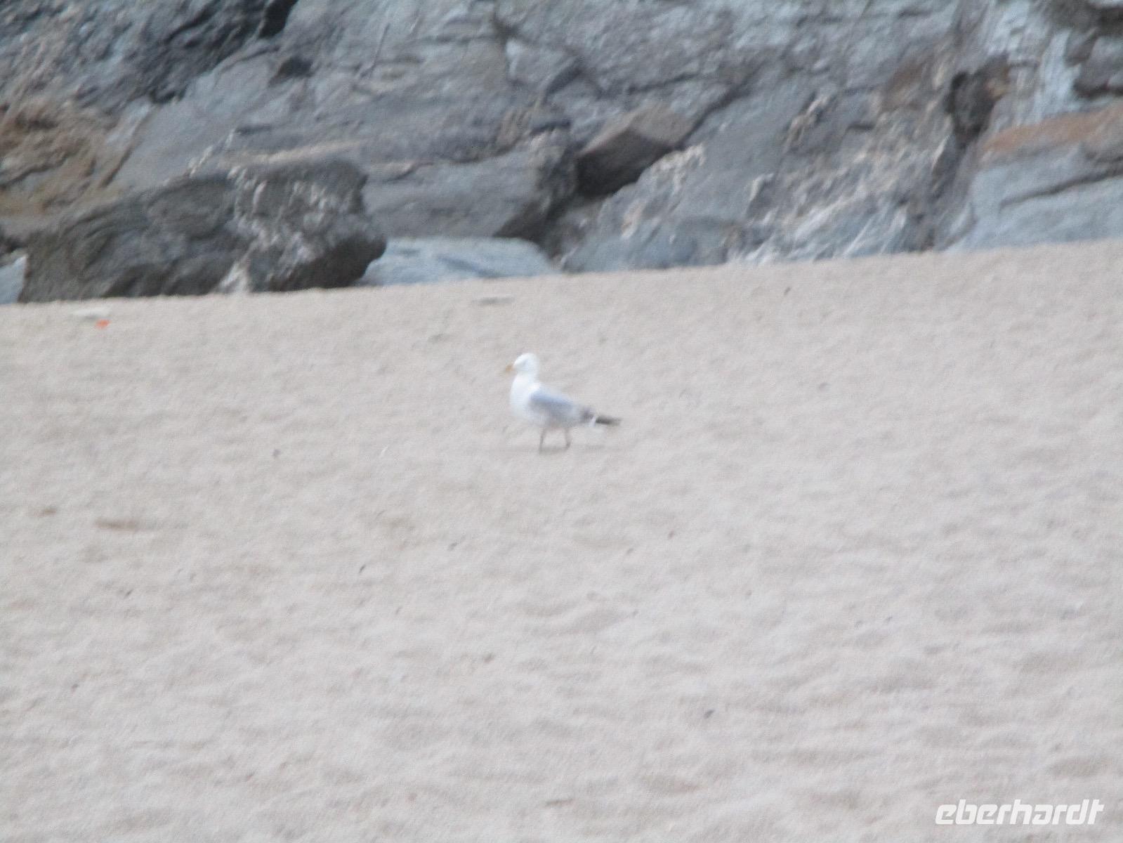 Newquay &ndash; &copy; Constanze Hölig (Eberhardt TRAVEL)