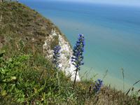 Beachy Head &ndash; &copy; Constanze Hölig (Eberhardt TRAVEL)