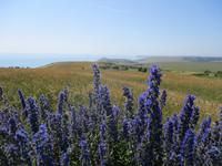 Beachy Head &ndash; &copy; Constanze Hölig (Eberhardt TRAVEL)
