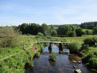Dartmoor &ndash; &copy; Constanze Hölig (Eberhardt TRAVEL)