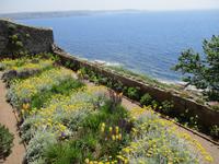 St. Michael's Mount &ndash; &copy; Constanze Hölig (Eberhardt TRAVEL)