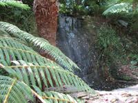 Trebah Garden &ndash; &copy; Constanze Hölig (Eberhardt TRAVEL)
