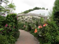 Eden Project &ndash; &copy; Constanze Hölig (Eberhardt TRAVEL)