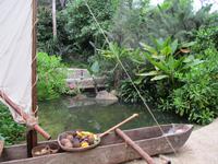 Eden Project &ndash; &copy; Constanze Hölig (Eberhardt TRAVEL)