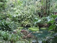 Eden Project &ndash; &copy; Constanze Hölig (Eberhardt TRAVEL)