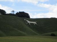White Horse of Cherhill &ndash; &copy; Constanze Hölig (Eberhardt TRAVEL)