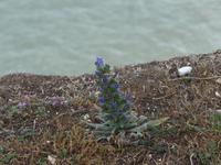 P1090631 &ndash; &copy; Philipp Schmitz (Eberhardt TRAVEL)