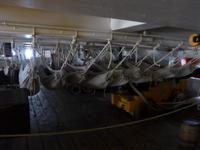 HMS Victory &ndash; &copy; Philipp Schmitz (Eberhardt TRAVEL)
