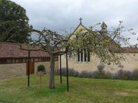 Glastonbery Abbey &ndash; &copy; Philipp Schmitz (Eberhardt TRAVEL)