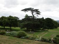 Knightshayes Court &ndash; &copy; Constanze Hölig (Eberhardt TRAVEL)