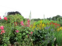 Nationaler Botanischer Garten von Wales &ndash; &copy; Constanze Hölig (Eberhardt TRAVEL)