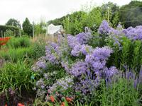 Nationaler Botanischer Garten von Wales &ndash; &copy; Constanze Hölig (Eberhardt TRAVEL)