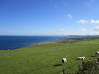 Cardigan Bay &ndash; &copy; Constanze Hölig (Eberhardt TRAVEL)