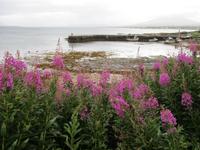 Broadford &ndash; &copy; Constanze Hölig (Eberhardt TRAVEL)