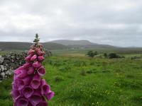 Isle of Skye &ndash; &copy; Constanze Hölig (Eberhardt TRAVEL)