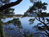Inverewe Garden &ndash; &copy; Constanze Hölig (Eberhardt TRAVEL)