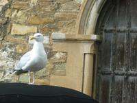 Rye &ndash; &copy; Grit Wendelberger (Eberhardt TRAVEL)
