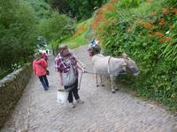 Clovelly &ndash; &copy; Grit Wendelberger (Eberhardt TRAVEL)