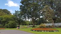 20170729_153525 Belfast Palm House &ndash; &copy; Marlies Thrum (Eberhardt TRAVEL)
