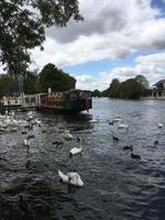 Themse in Windsor &ndash; &copy; Monika Thrän (Eberhardt TRAVEL)