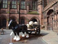 Chester &ndash; &copy; Constanze Hölig (Eberhardt TRAVEL)