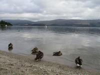 Loch Lomond &ndash; &copy; Constanze Hölig (Eberhardt TRAVEL)
