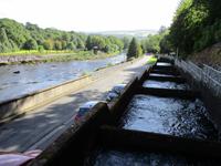 Pitlochry &ndash; &copy; Constanze Hölig (Eberhardt TRAVEL)