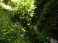 Im Shanklin Chine &ndash; &copy; Peter Rudolph (Eberhardt TRAVEL)