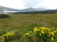 Rannoch Moor &ndash; &copy; Claudia Bernhardt (Eberhardt TRAVEL)