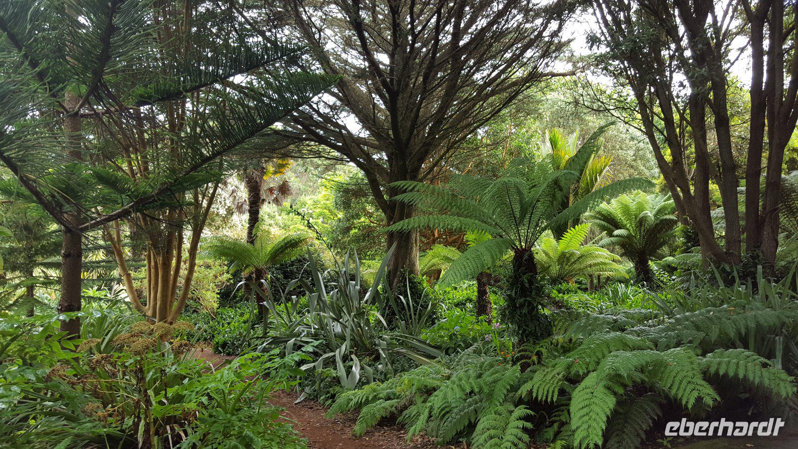 Tresco-Abbey Garden 20170829_113249 &ndash; &copy; Marlies Thrum (Eberhardt TRAVEL)