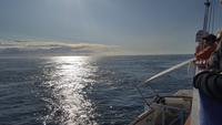 neuer Tag auf See 20170824_180821 &ndash; &copy; Marlies Thrum (Eberhardt TRAVEL)