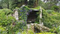 Tresco-Abbey Garden 20170829_115343 &ndash; &copy; Marlies Thrum (Eberhardt TRAVEL)