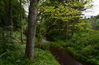 088 Drummuir, Keith & Dufftown Railway &ndash; &copy; Konrad Füssel (Eberhardt TRAVEL)