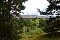 137 Newtonmore, Highland Folk Museum &ndash; &copy; Konrad Füssel (Eberhardt TRAVEL)