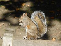 St. James Park &ndash; &copy; Claudia Bernhardt (Eberhardt TRAVEL)