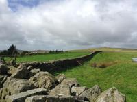 im Dartmoor &ndash; &copy; Uta Schöne (Eberhardt TRAVEL)