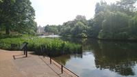 Ruhige Pole im St. James Park