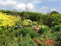 Garten in Godshill &ndash; &copy; Uta Schöne (Eberhardt TRAVEL)