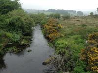 im Dartmoor &ndash; &copy; Uta Schöne (Eberhardt TRAVEL)