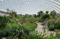 0667 Botanischer Garten von Wales, Tropenhaus von Sir Norman Foster &ndash; &copy; Konrad Füssel (Eberhardt TRAVEL)