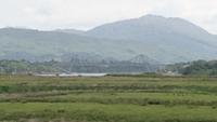 Connel-Bridge