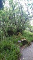 Alte Natur im Glenveaugh Nationalpark