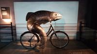Der Guinness-Fisch &ndash; &copy; Stefan Jahnke (Eberhardt TRAVEL)