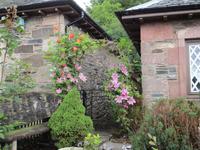 Loch Lomond &ndash; &copy; Constanze Hölig (Eberhardt TRAVEL)